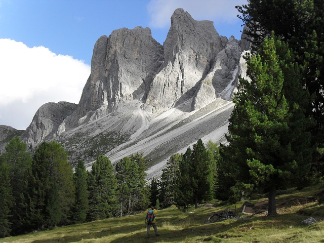 Image by inmedianet from Pixabay
