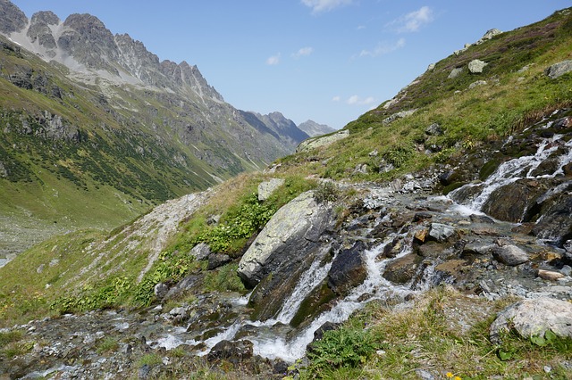 Image by joergweitz from Pixabay