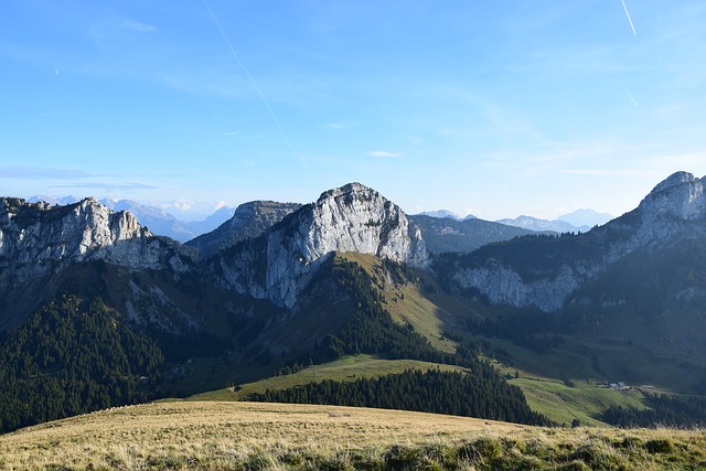 Image by ClaraMD from Pixabay