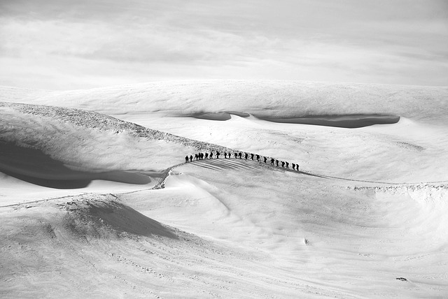 Image by aatlas from Pixabay