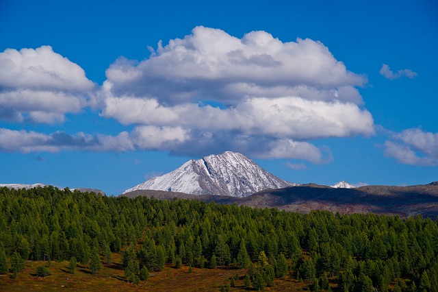 Image by Анатолий Стафичук from Pixabay