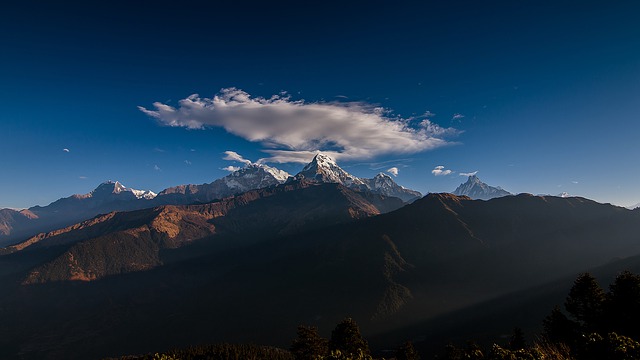 Image by Ambir Tolang from Pixabay