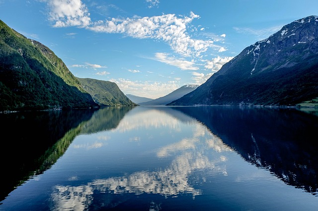 Image by Grégory ROOSE from Pixabay