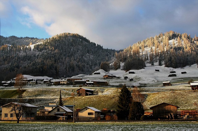 Image by pasja1000 from Pixabay