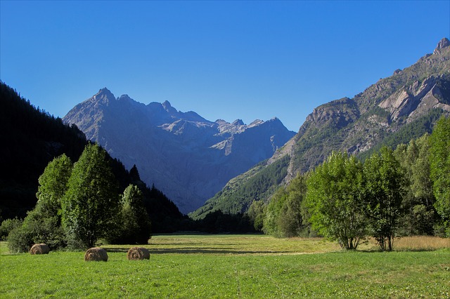 Image by Véronique Rouquet from Pixabay