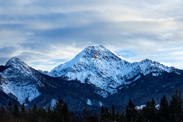 Image by Snap_it from Pixabay