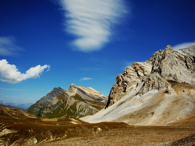 Image by Juliette Kober from Pixabay