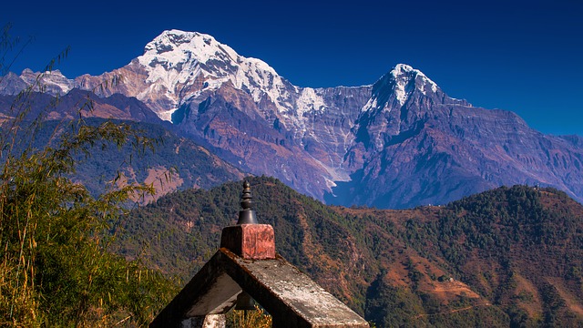 Image by Ambir Tolang from Pixabay
