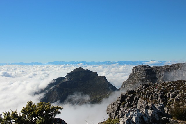 Image by Lienve from Pixabay