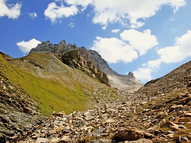 Image by Juliette Kober from Pixabay