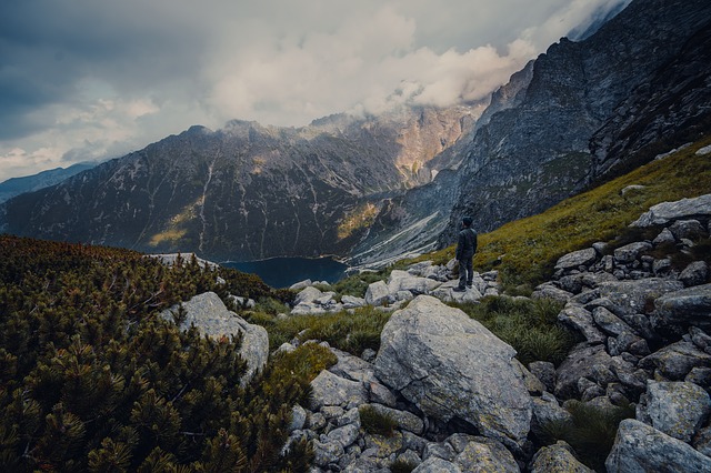 Image by graduatedgrey from Pixabay