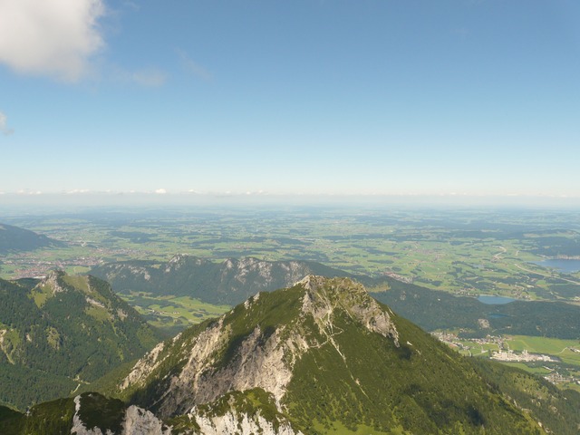 Image by Hans Braxmeier from Pixabay