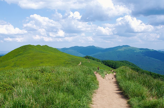 Image by Aleksander Włodarczyk from Pixabay