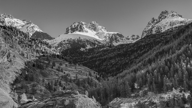 Image by nirolfix from Pixabay