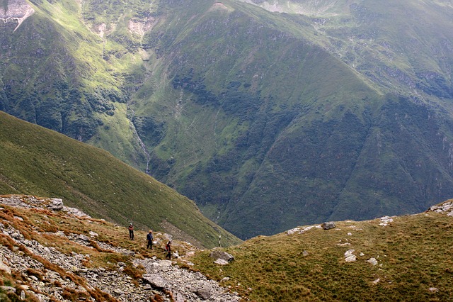 Image by Ghiță Bizău from Pixabay
