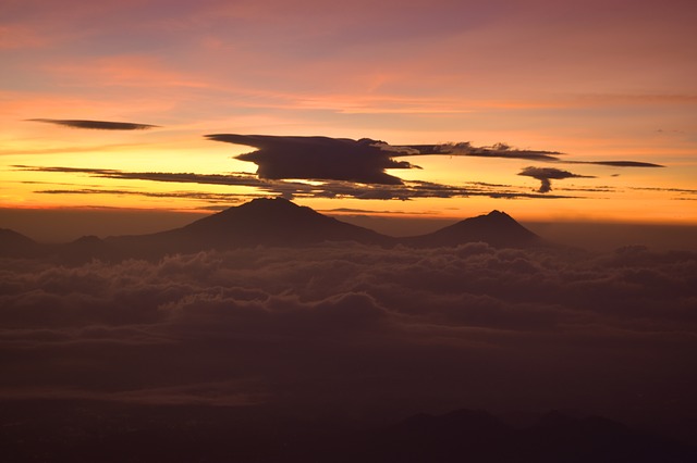 Image by Aliko Sunawang from Pixabay