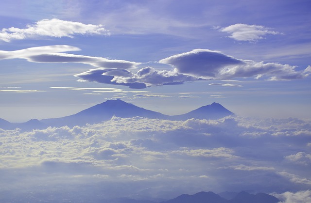 Image by Aliko Sunawang from Pixabay