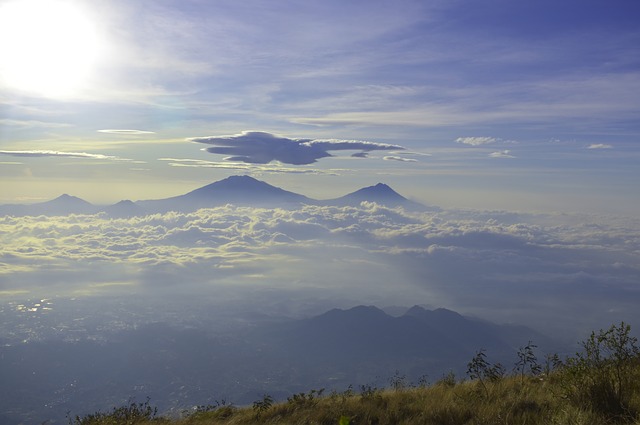 Image by Aliko Sunawang from Pixabay