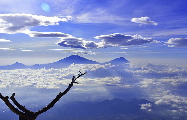 Image by Aliko Sunawang from Pixabay