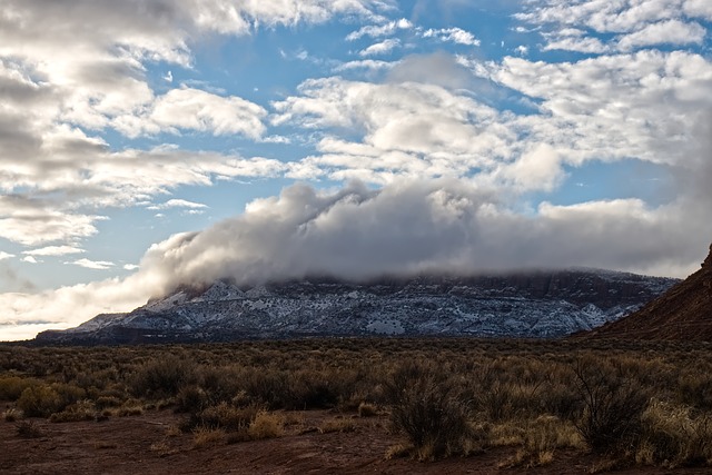 Image by Christopher O'Toole from Pixabay