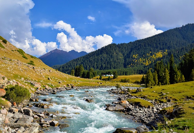 Image by chorobek from Pixabay