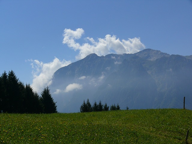 Image by lanacuk from Pixabay