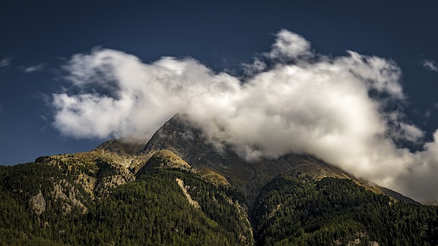 Image by Denny Franzkowiak from Pixabay