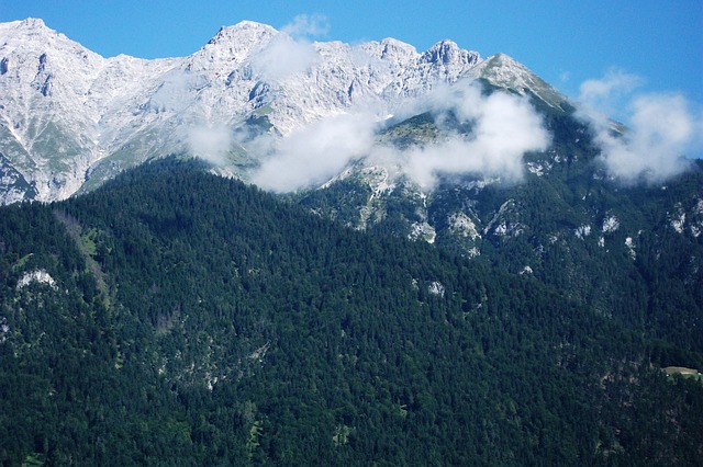 Image by josefschiller from Pixabay