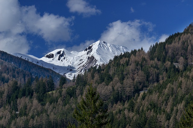 Image by bzwwfoto from Pixabay