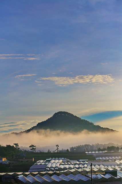 Image by Thu Truong from Pixabay