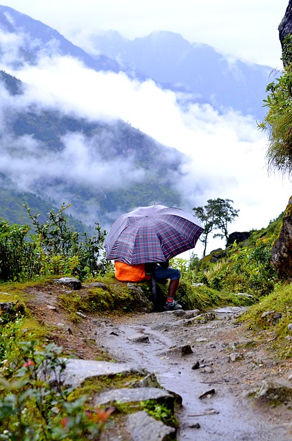 Image by travelphotographer from Pixabay