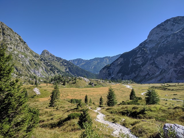 Image by Mitja Ostrbenk from Pixabay
