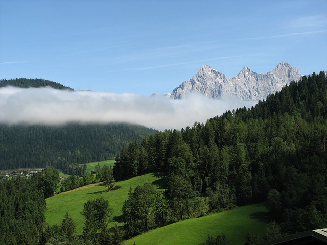 Image by Thomas B. from Pixabay