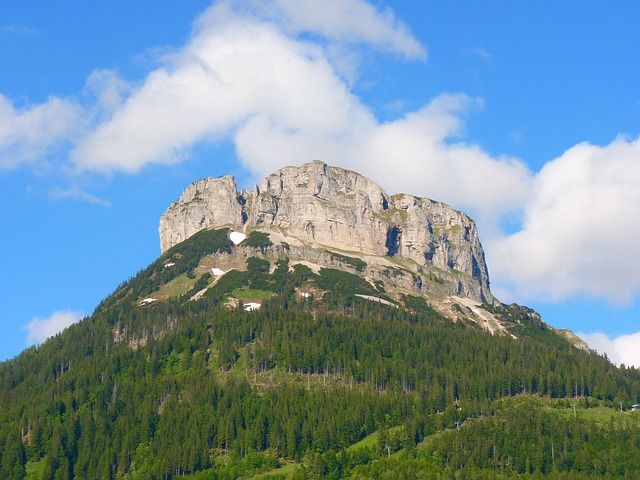 Image by LoggaWiggler from Pixabay