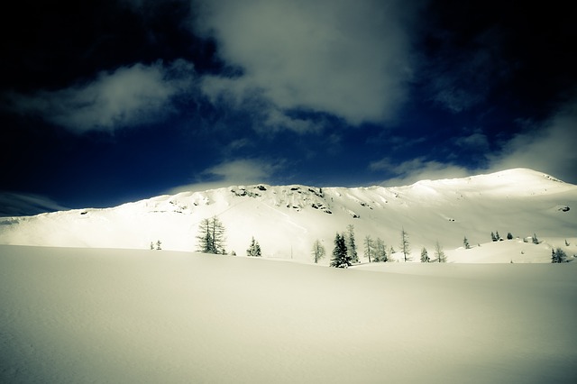 Image by Markus Spiske from Pixabay