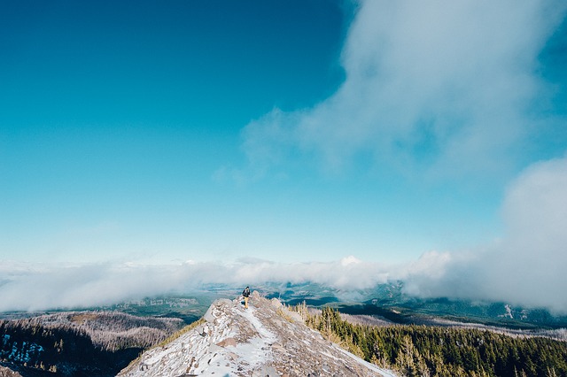 Image by JayMantri from Pixabay