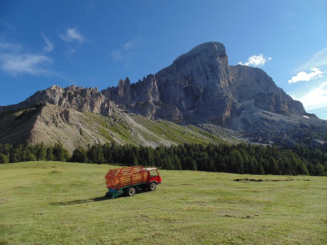 Image by Daniele Ottazzi from Pixabay