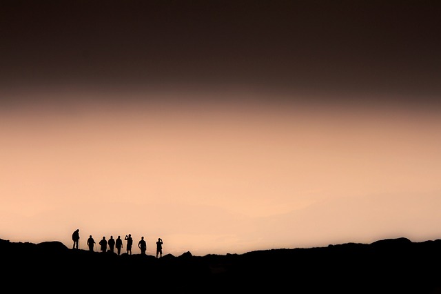 Image by PublicDomainPictures from Pixabay