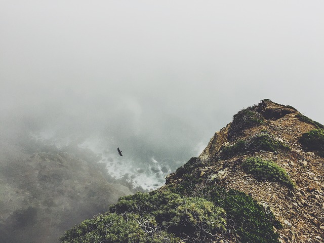 Image by Free-Photos from Pixabay