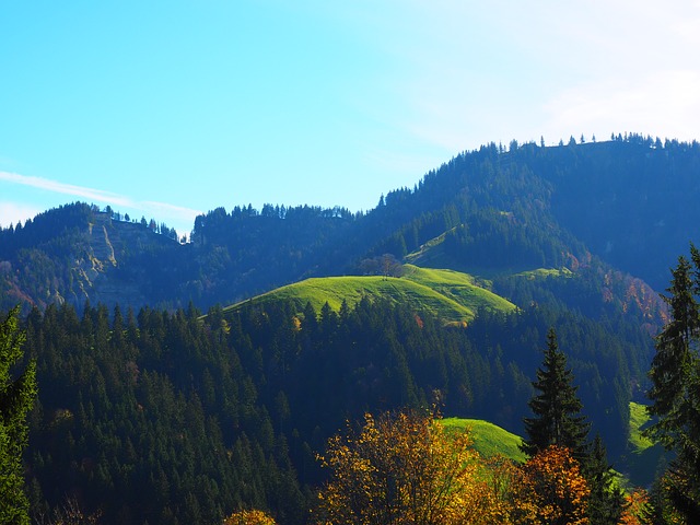 Image by Hans Braxmeier from Pixabay