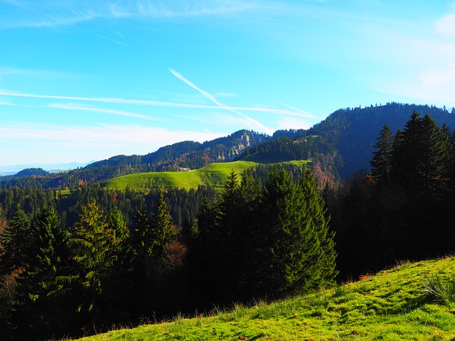 Image by Hans Braxmeier from Pixabay
