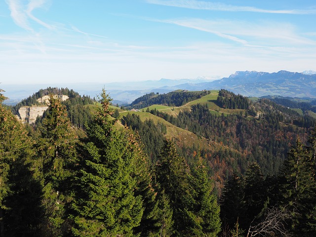 Image by Hans Braxmeier from Pixabay