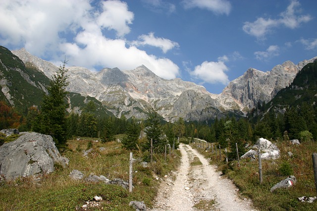Image by Christian Schulz from Pixabay