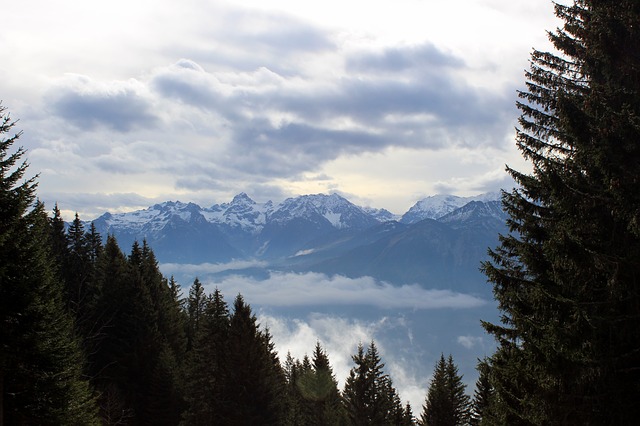 Image by Jessica Bühler from Pixabay