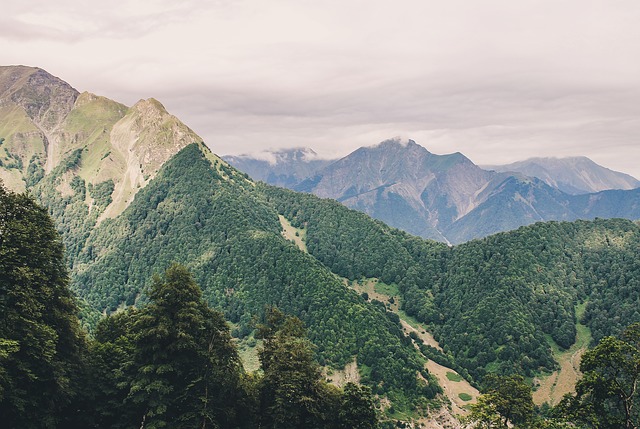 Image by Free-Photos from Pixabay
