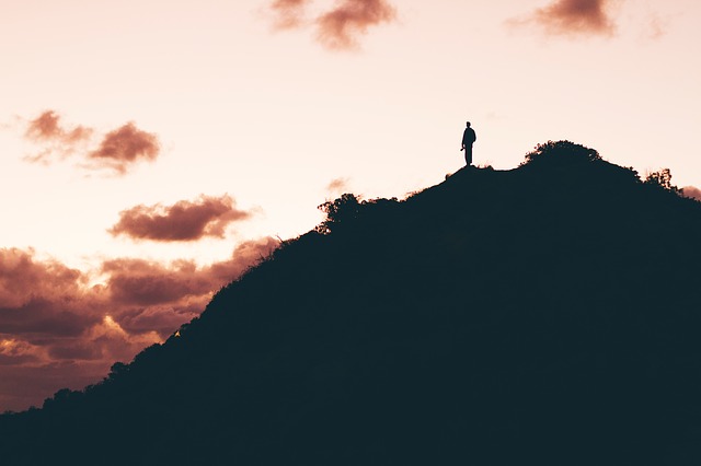 Image by StockSnap from Pixabay