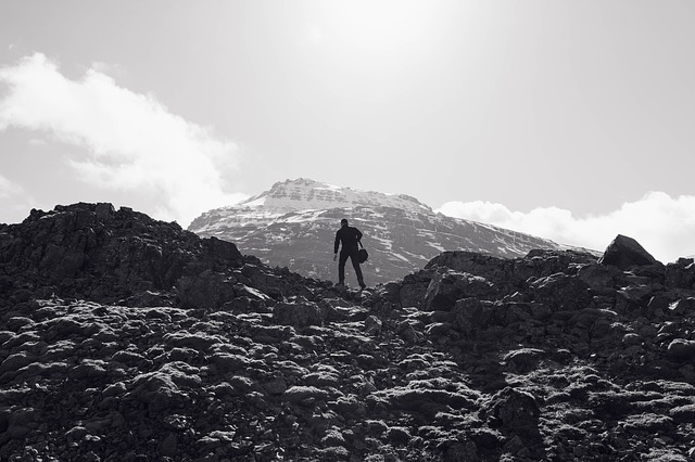 Image by Free-Photos from Pixabay