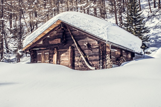 Image by Ralf Vetterle from Pixabay