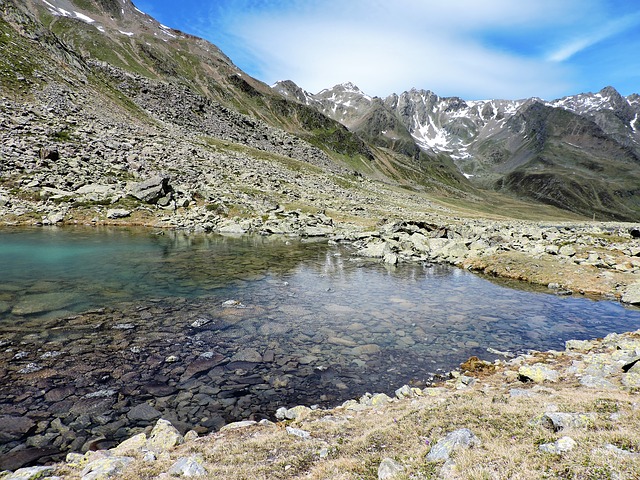 Image by Daniela Hörtner-Gastl from Pixabay