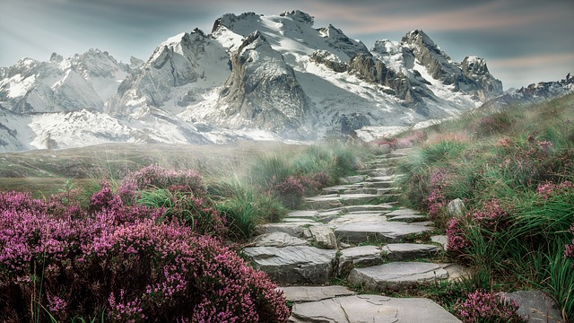 Image by composita from Pixabay
